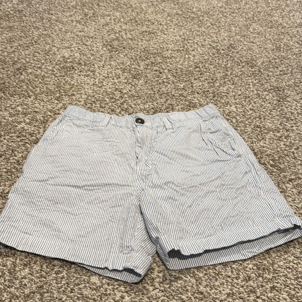Chubbies Shorts blue/white stripped